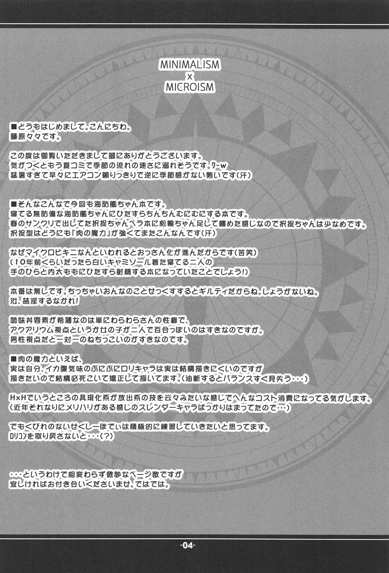 MINIMALISM × MICROISM page 3 full