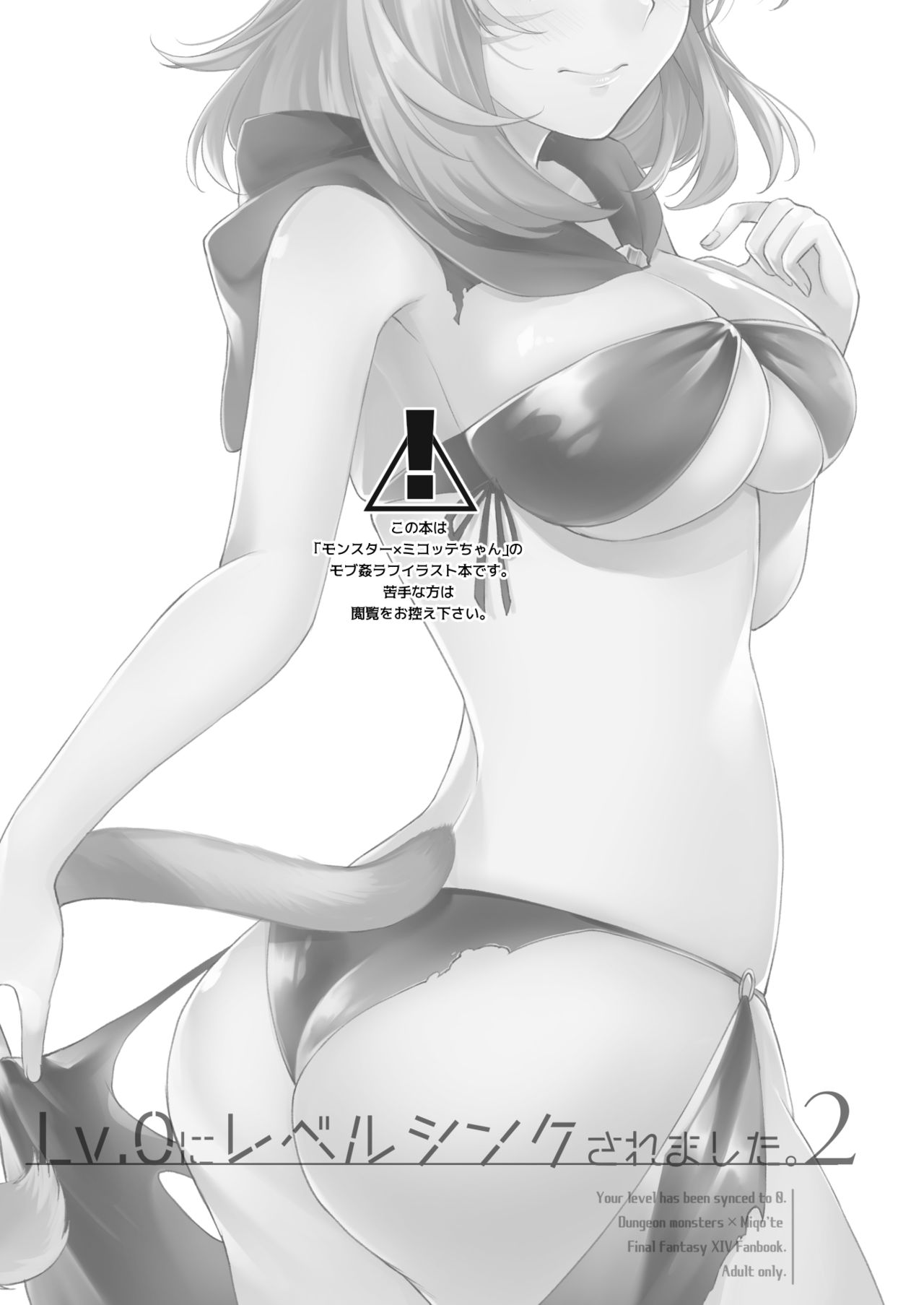 Lv.0 ni Level Sync Saremashita. 2 - Your level has been synced to 0. page 2 full