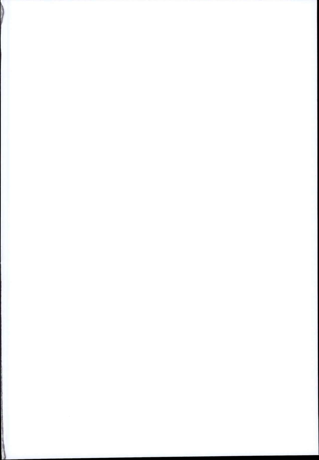 Toshinokure - Ring Out the Old, Ring in the New page 2 full