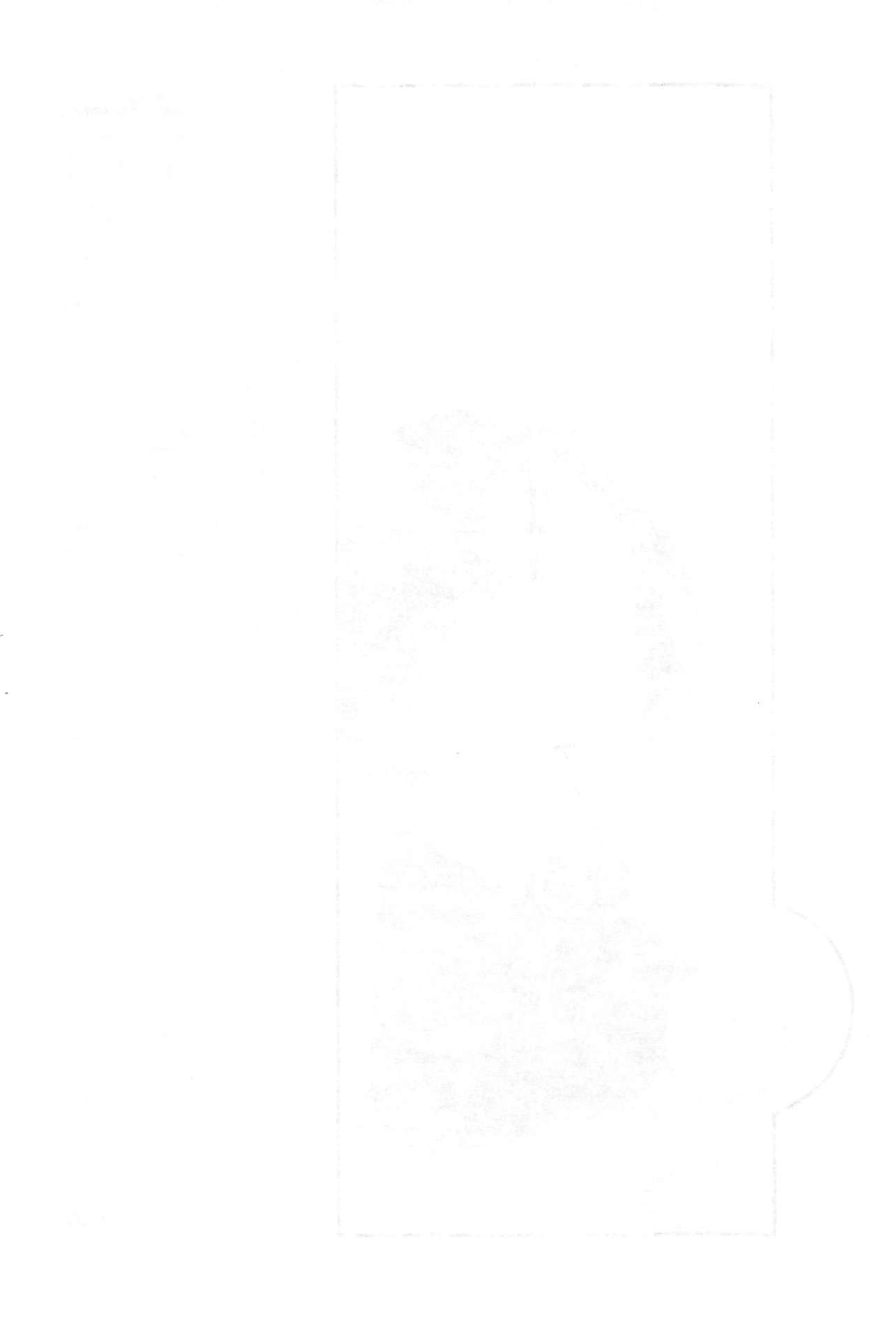 Chie-tan Zukan page 2 full