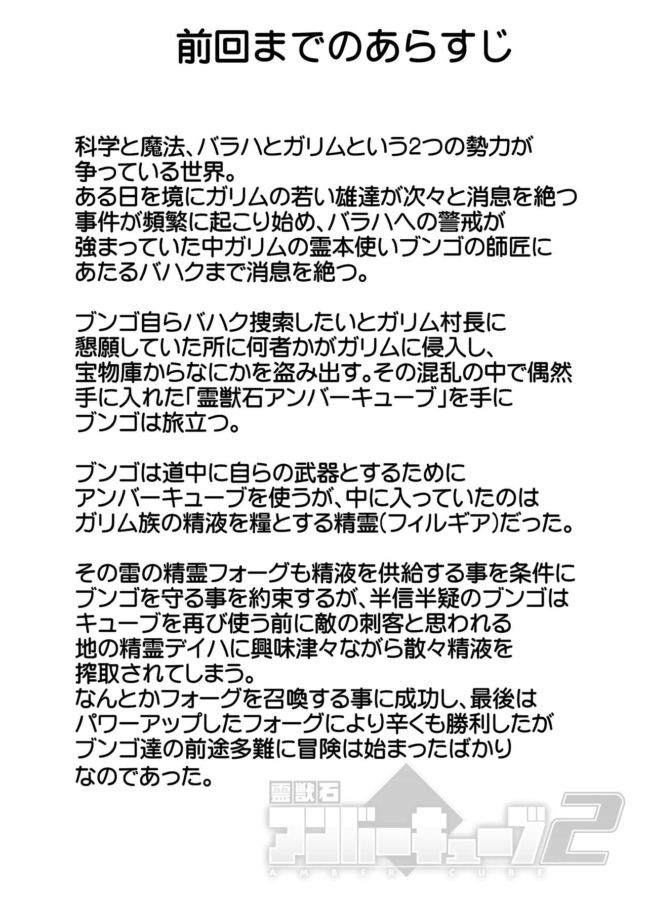 Reijuu Ishi Amber Cube 2 page 7 full