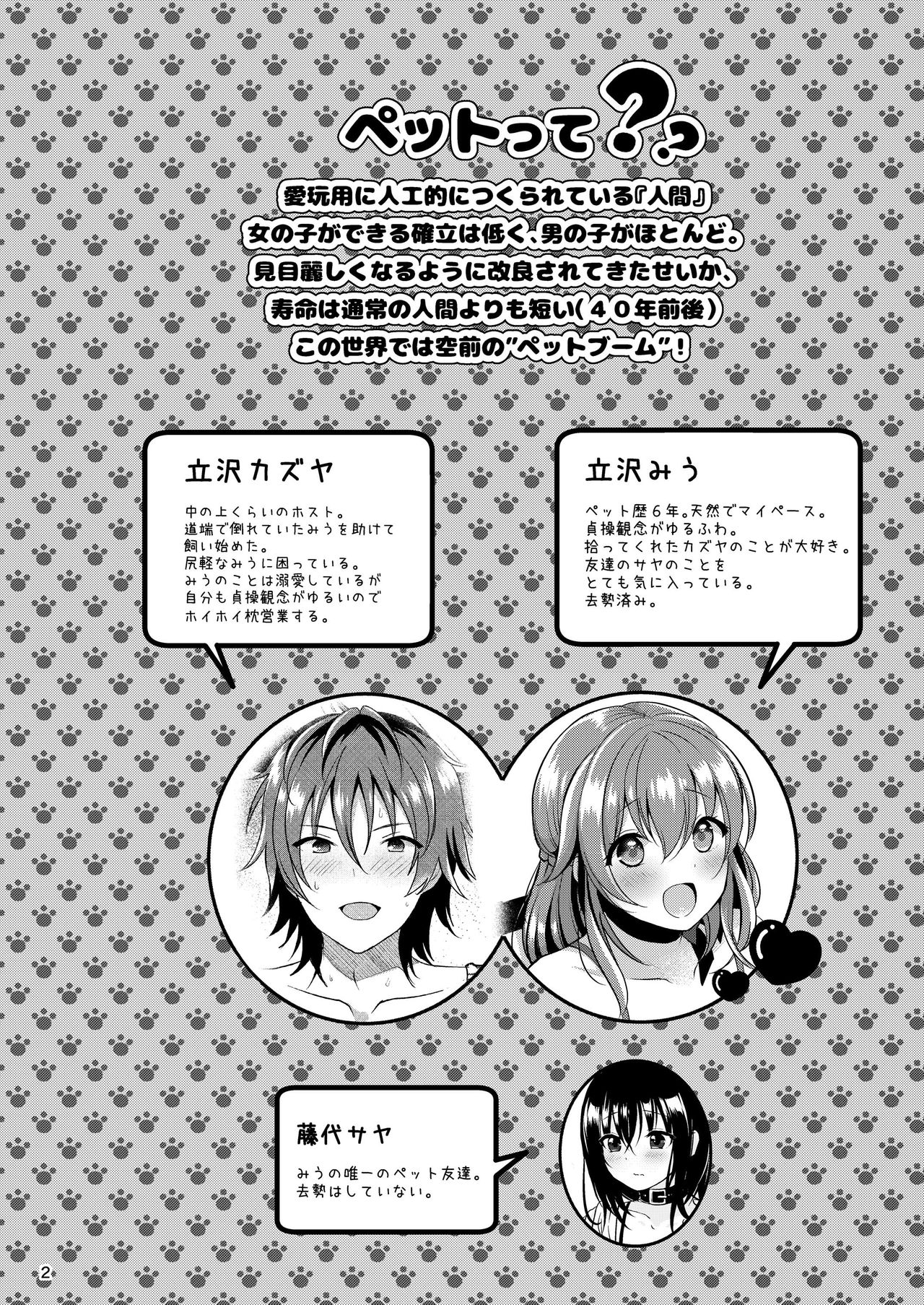 Pet Life ~Miu no Otsukai~ page 4 full