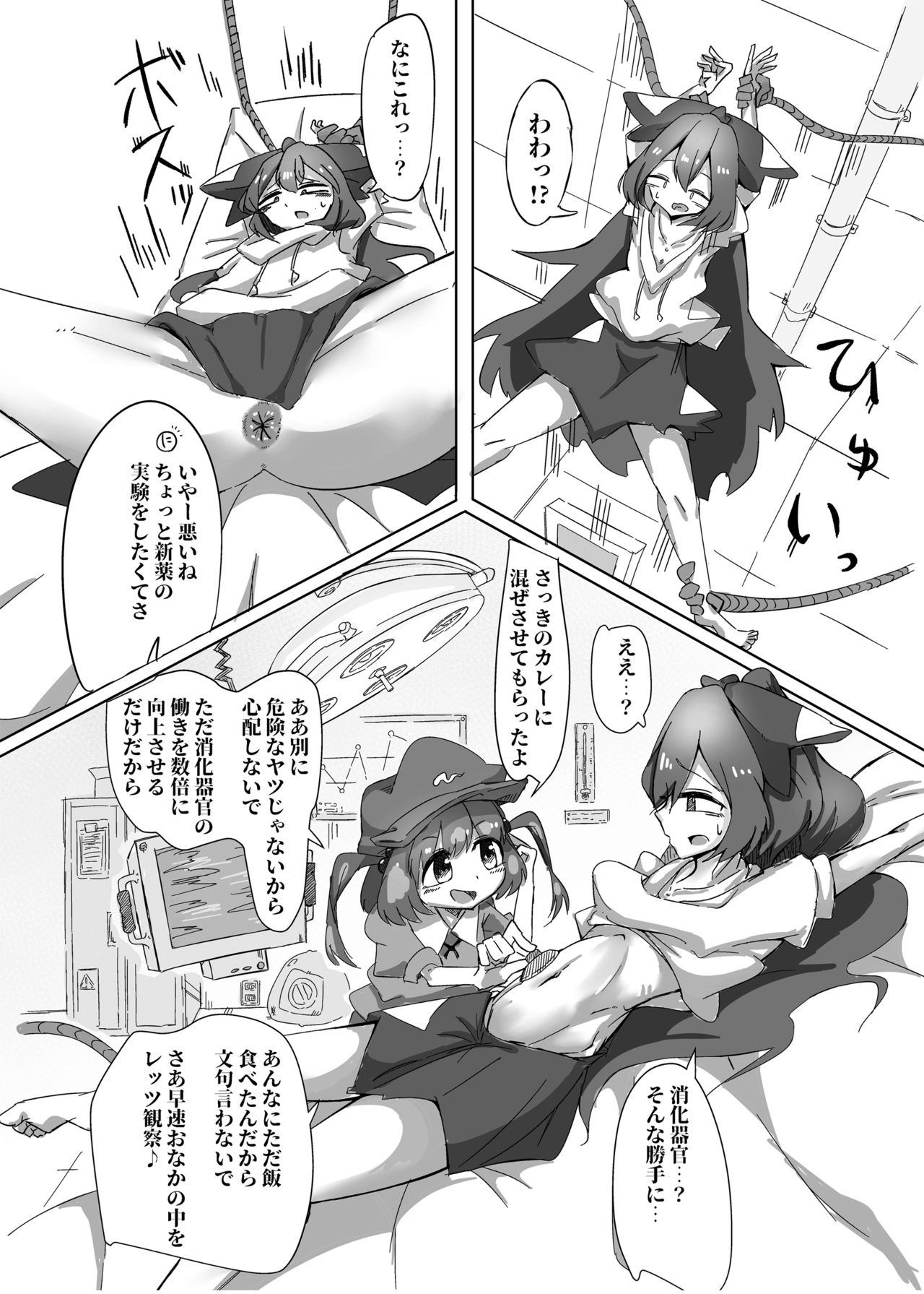 Touhou Scatology Goudoushi "Benjo!!!!!!!!" page 9 full