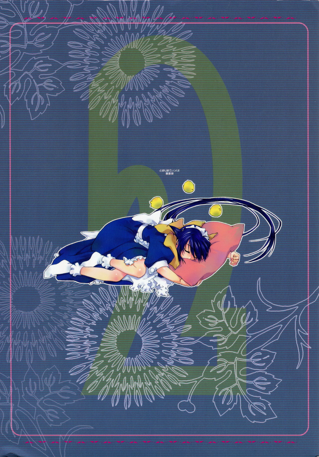 Toorimatic 2 page 2 full