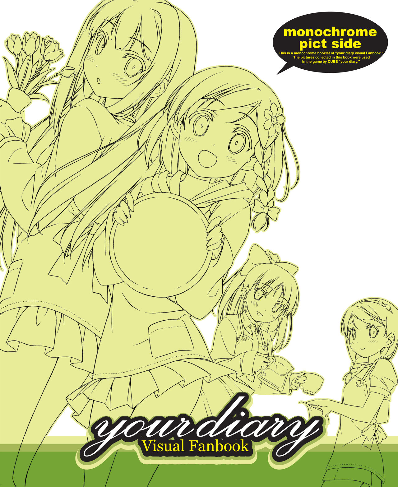 your diary Visual Fanbook page 1 full