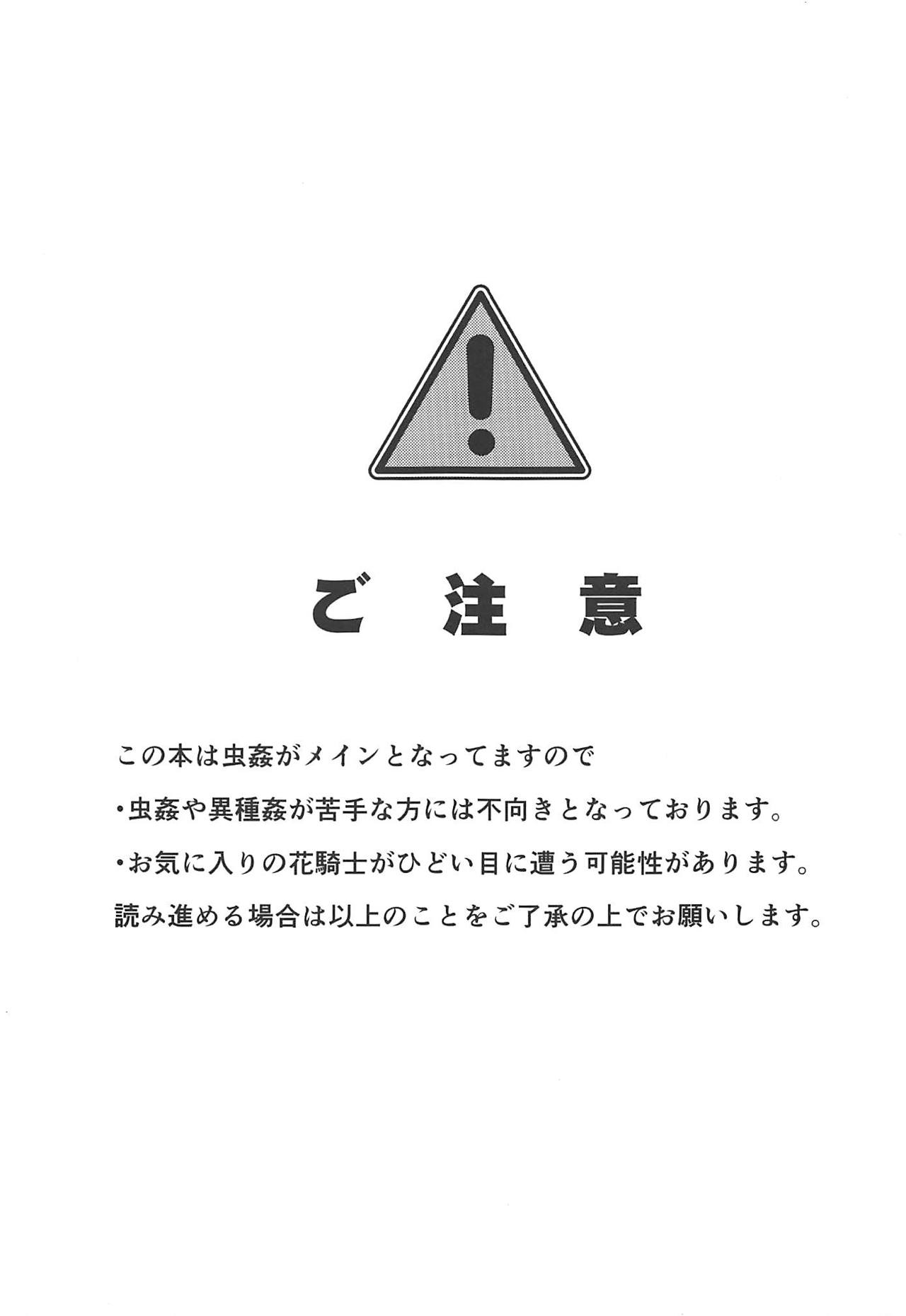 Gaichuu Higai Houkokusho File 3 page 2 full