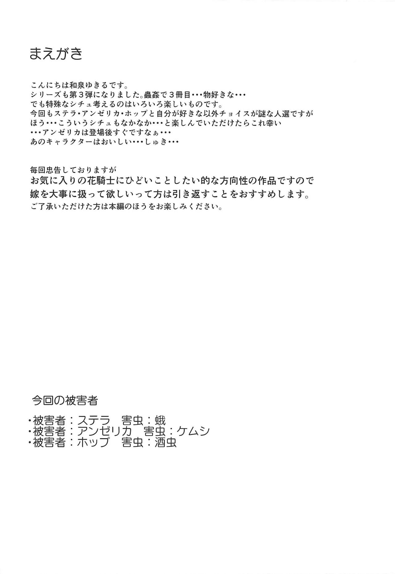 Gaichuu Higai Houkokusho File 3 page 3 full