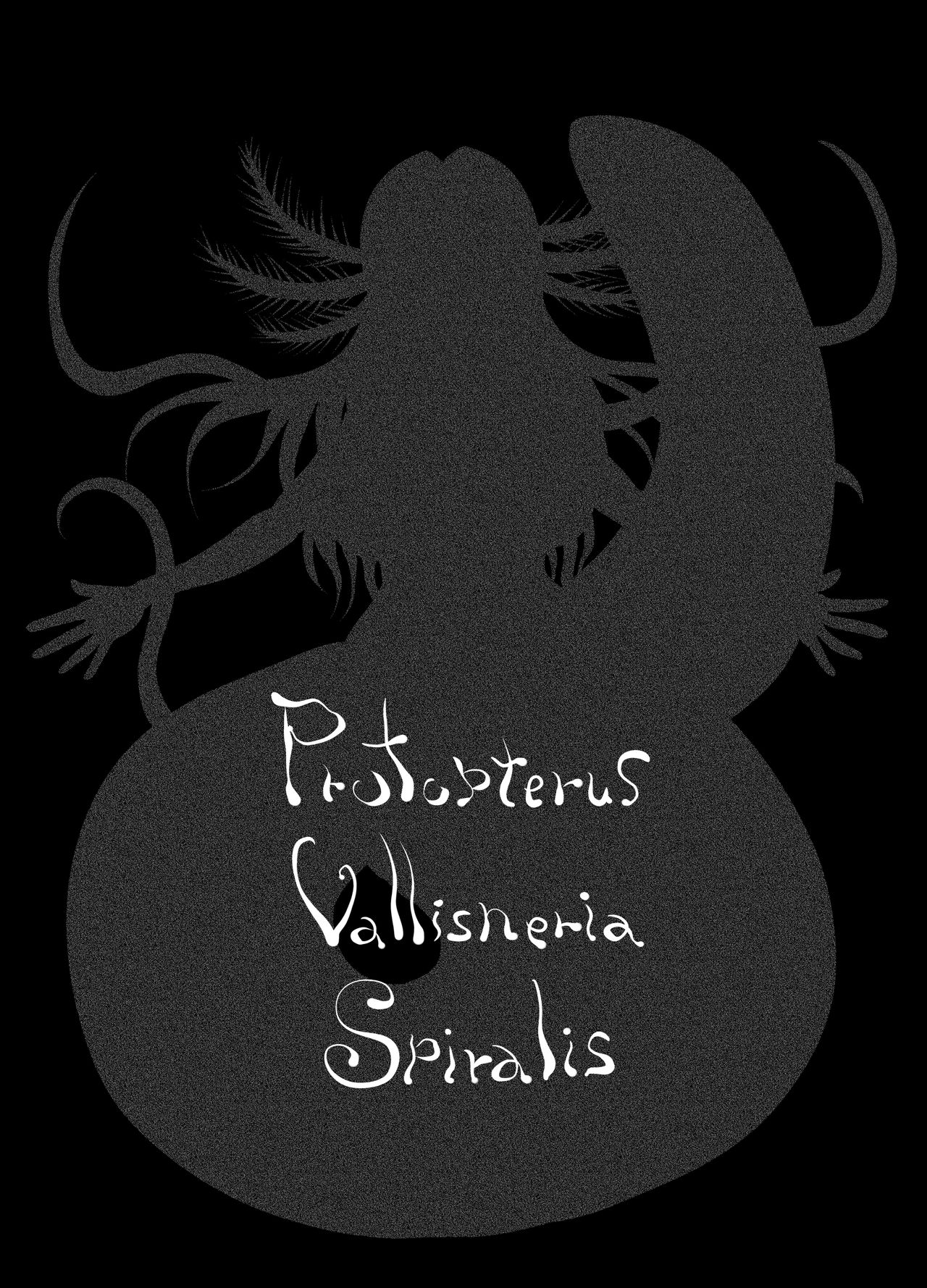 Protopterus Vallisneria Spiralis page 6 full