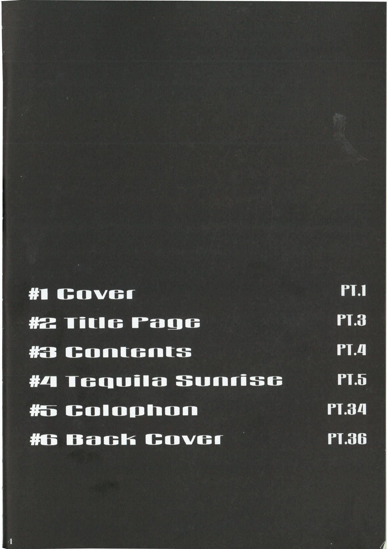 ZONE 36 Tequila Sunrise page 3 full