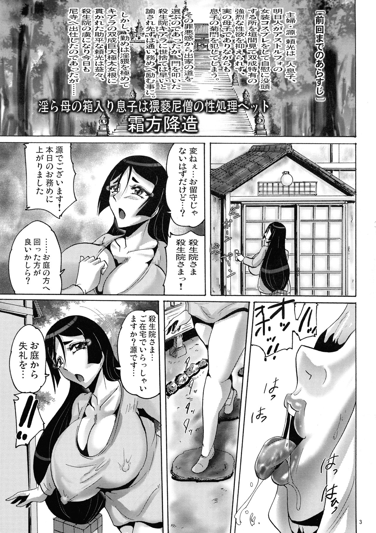 Shin Hanjuuryoku XL page 3 full