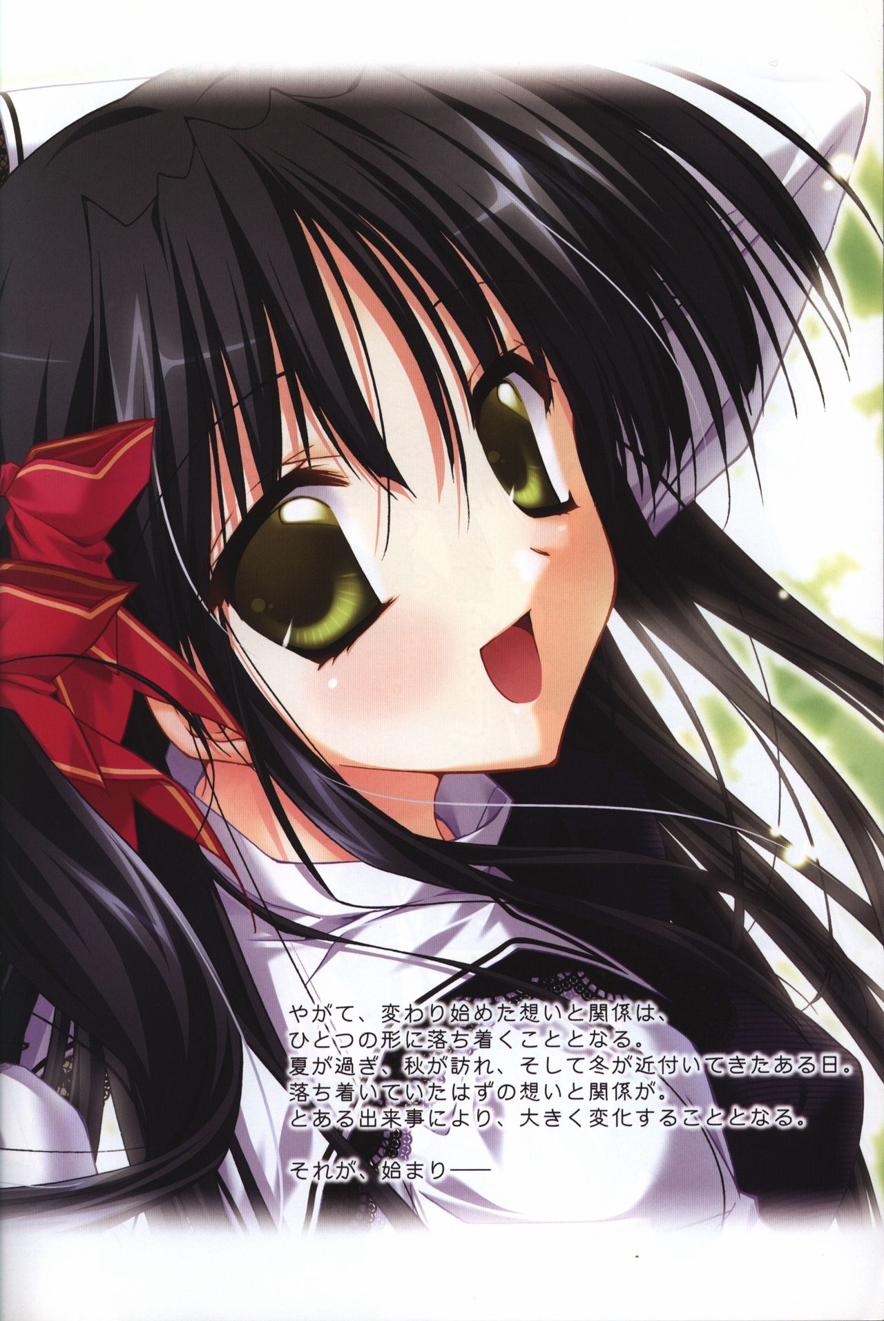 Aster visual fanbook page 4 full