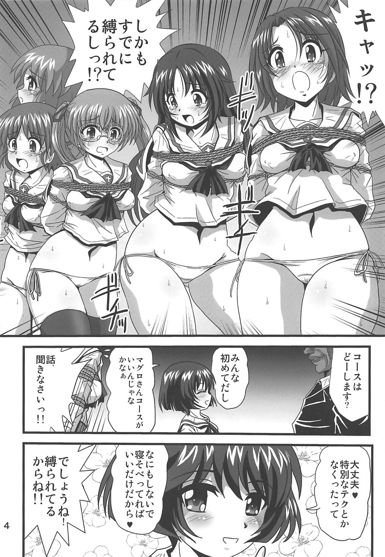 G Panzer 24 page 3 full
