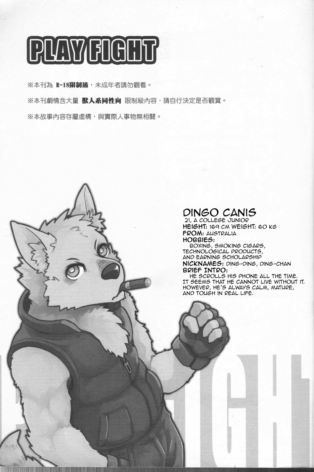 PLAY FIGHT page 2 full