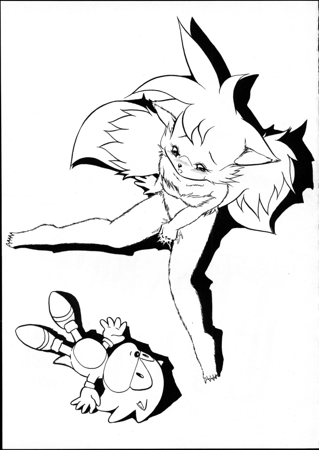 Echinococcus 5 page 3 full