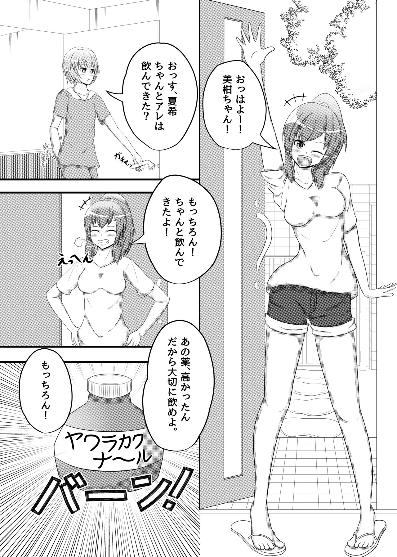 Henka-kei-bo TF Account book Vol.2 page 9 full
