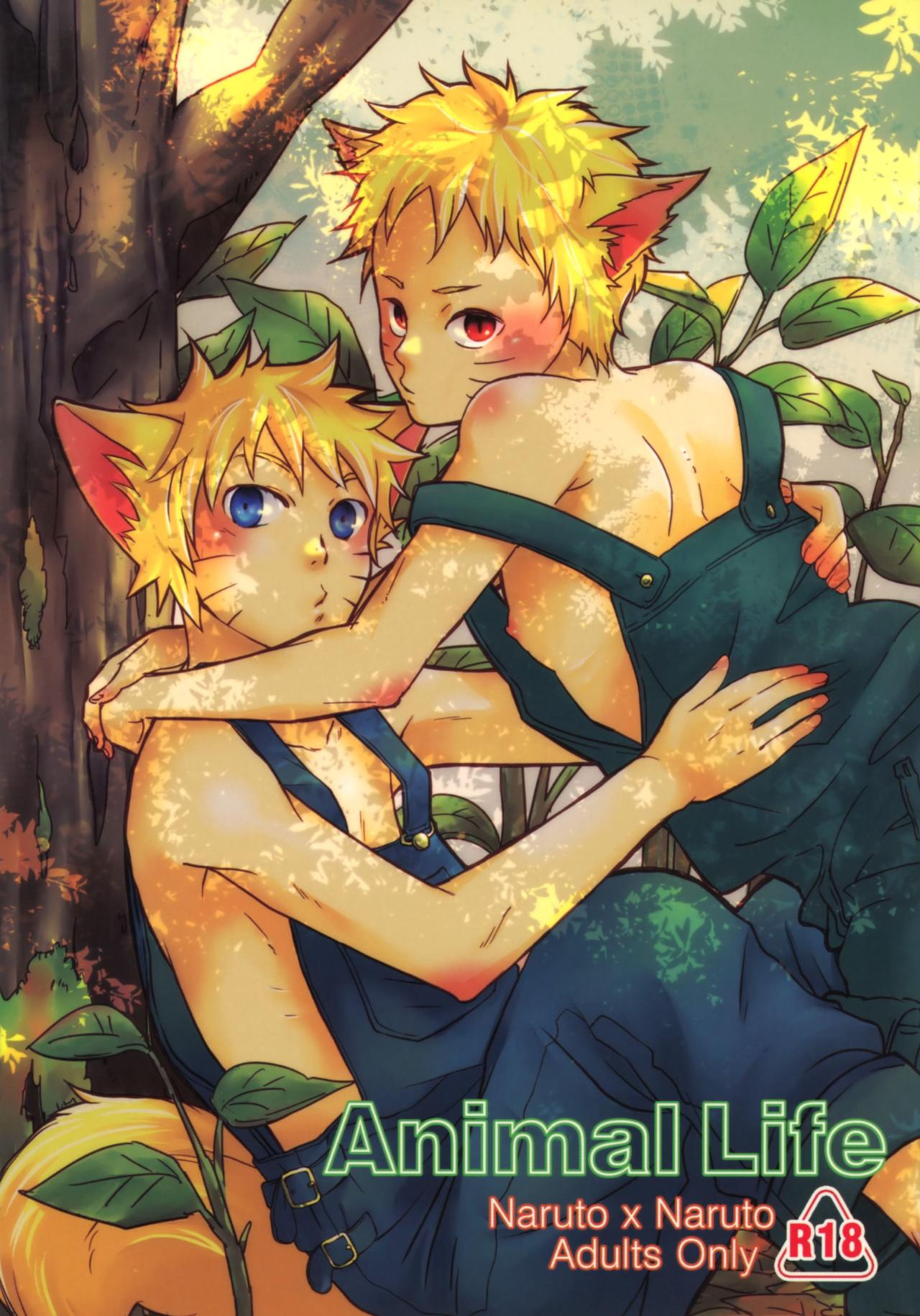 Animal Life page 1 full