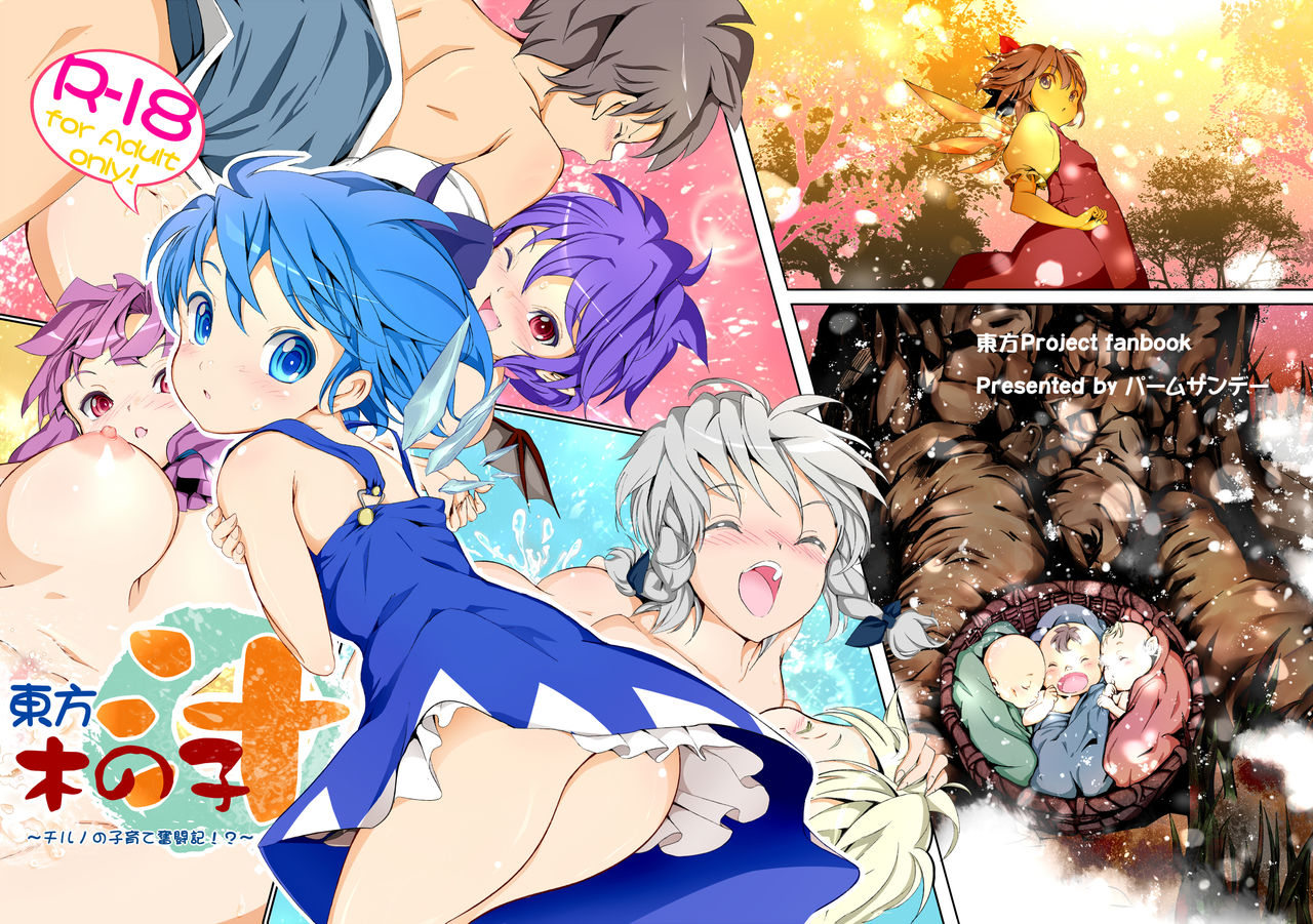 Touhou Kinoko-jiru ~ Cirno no Kosodate Funtouki!? ~ page 2 full