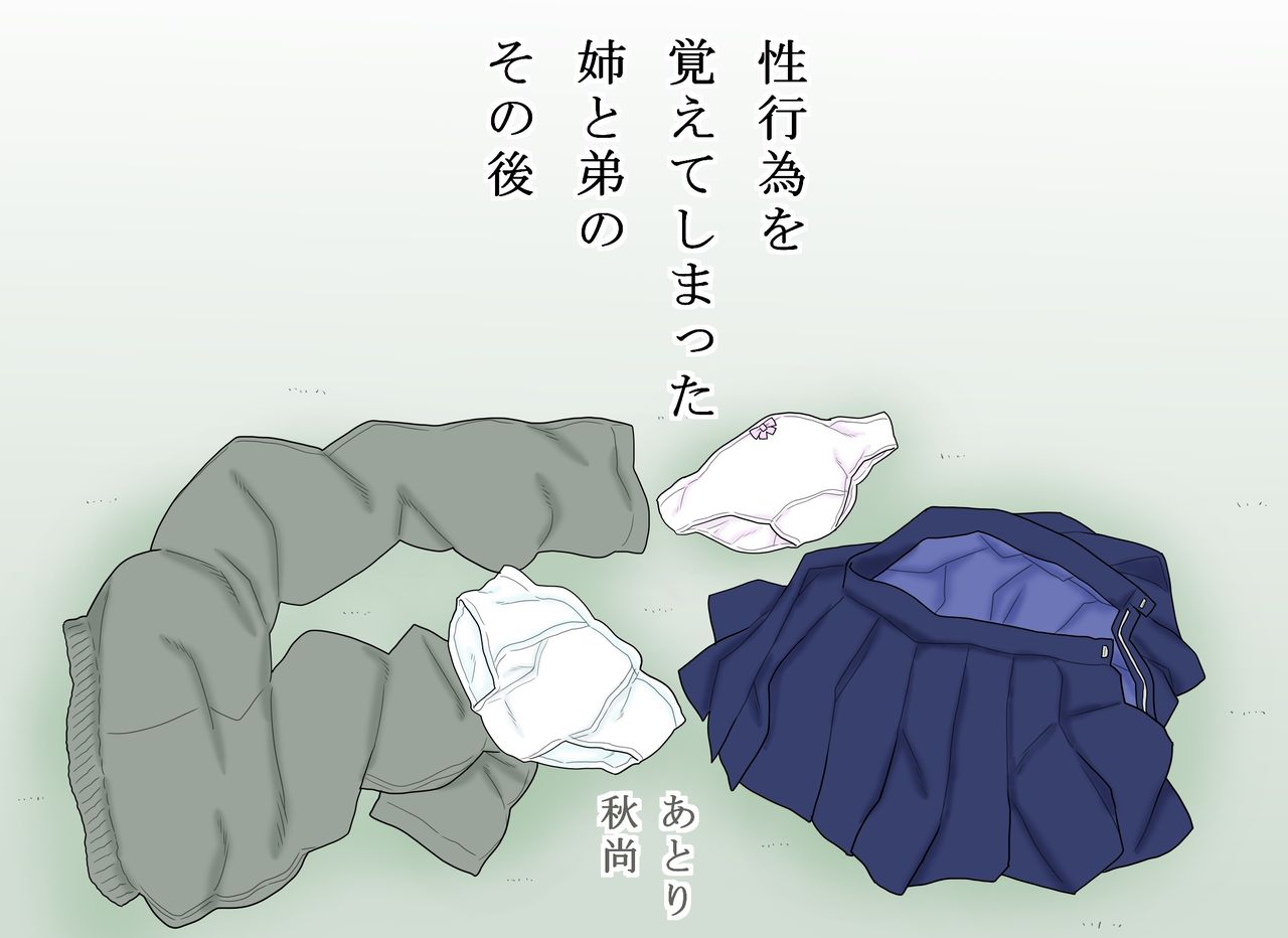 Seikoui o Oboete shimatta Ane to Otouto no Sonogo page 3 full