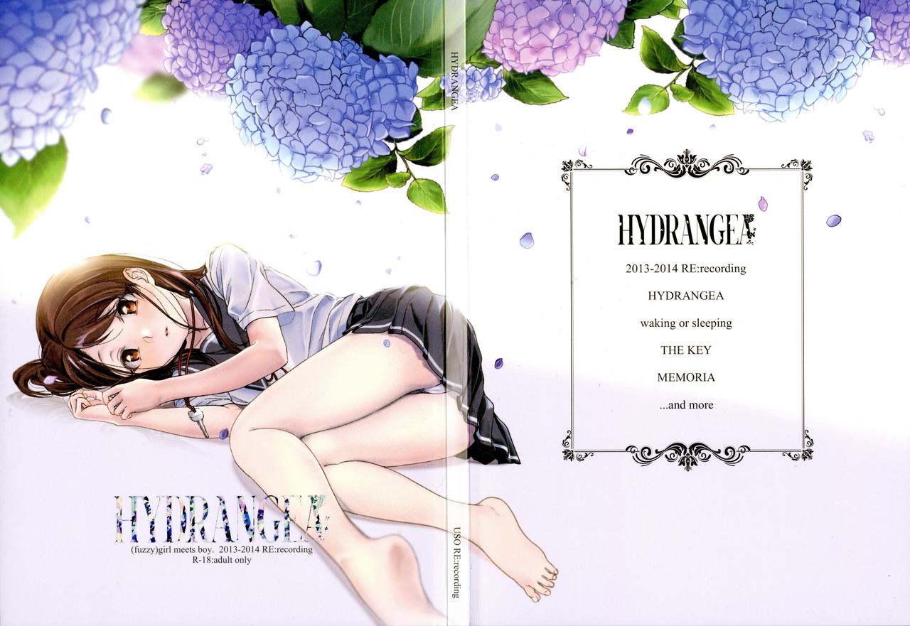 HYDRANGEA page 3 full