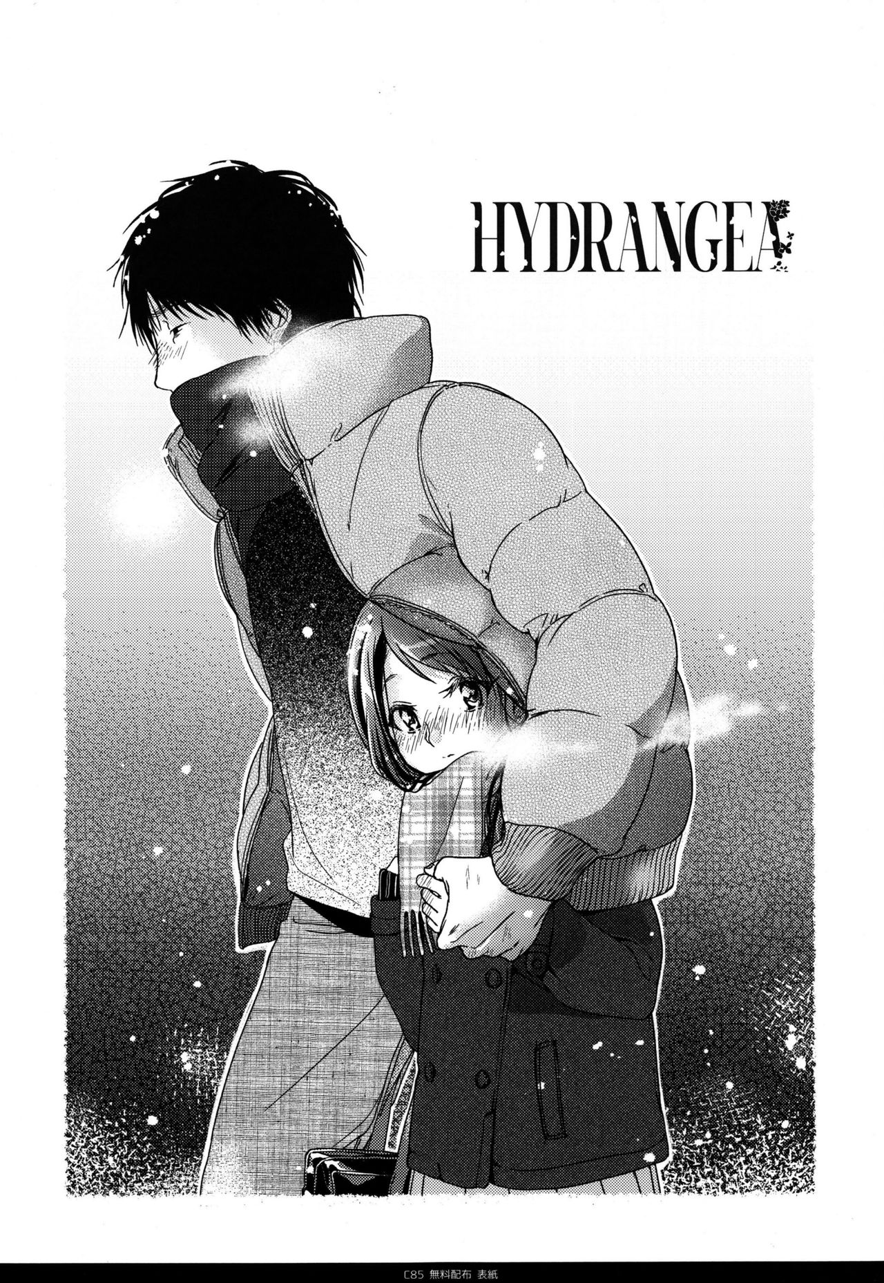 HYDRANGEA page 4 full