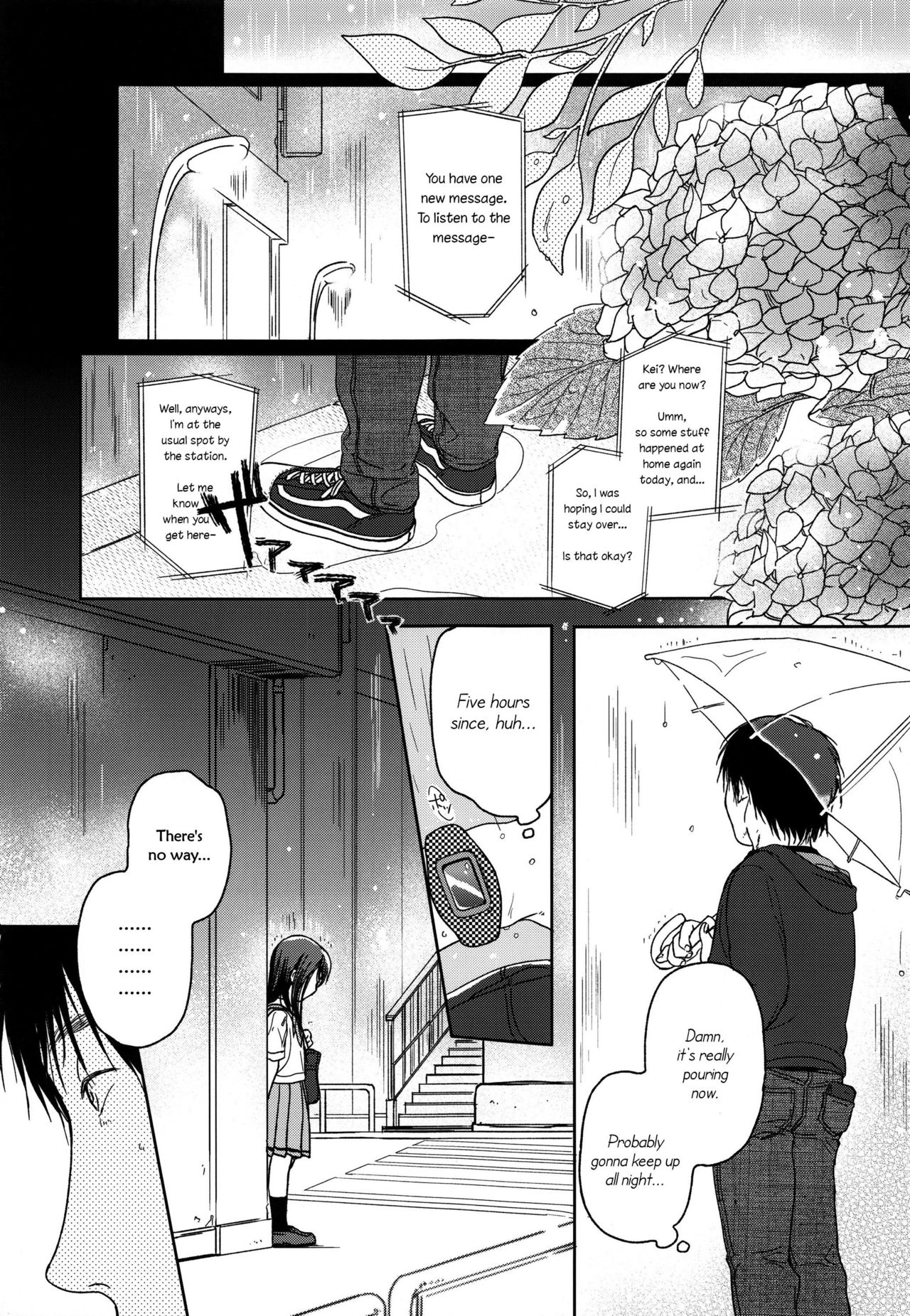 HYDRANGEA page 6 full