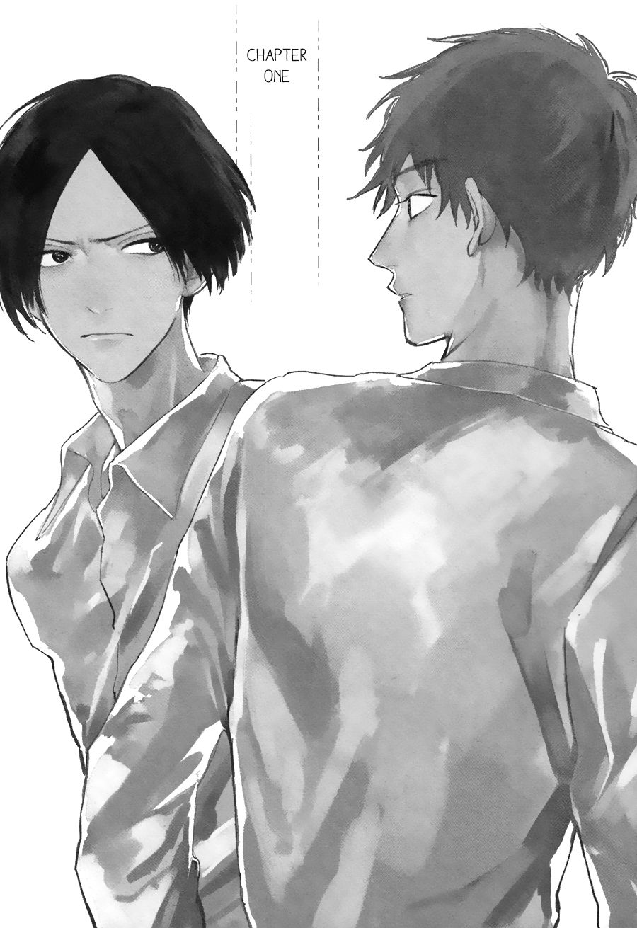 Mihanada Pectolite page 4 full