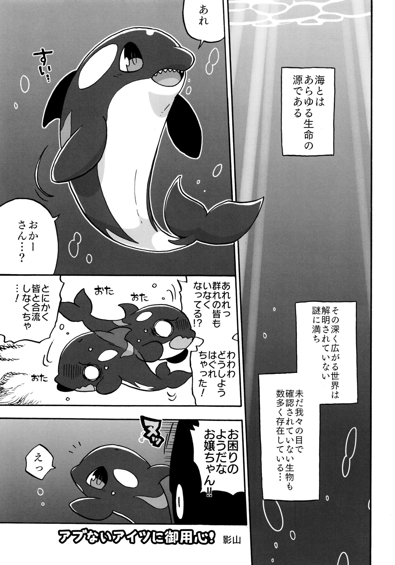 Shachi Ero wa Ikaga!? page 5 full