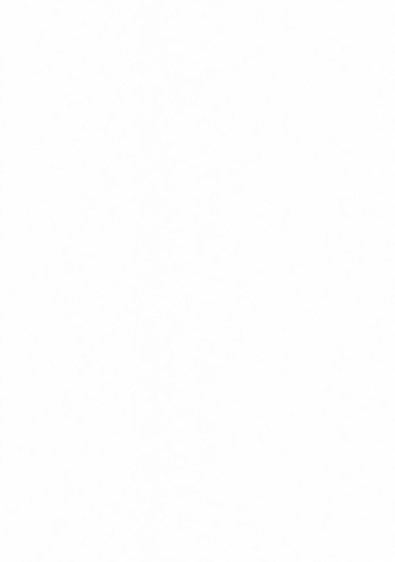 TOHO N+ FUTEN page 2 full