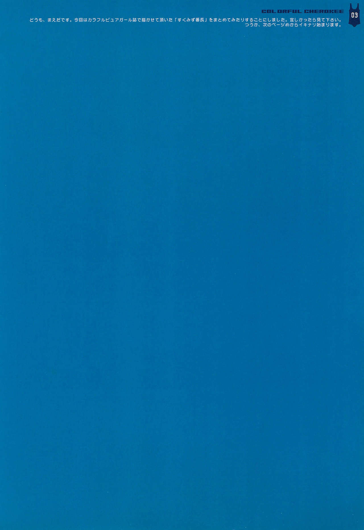 COLORFUL CHEROKEE page 3 full