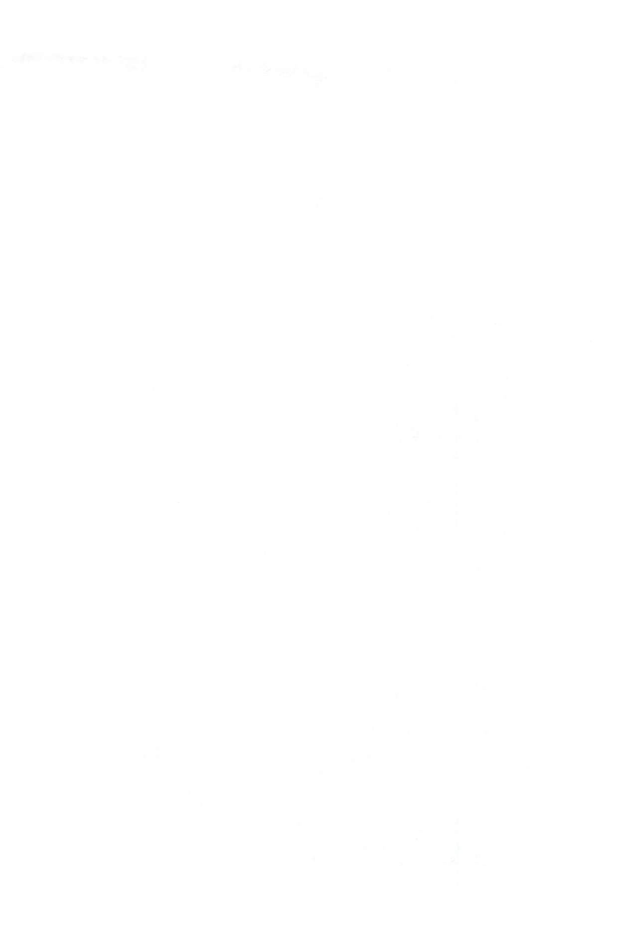 SECRET OF OKKO page 2 full