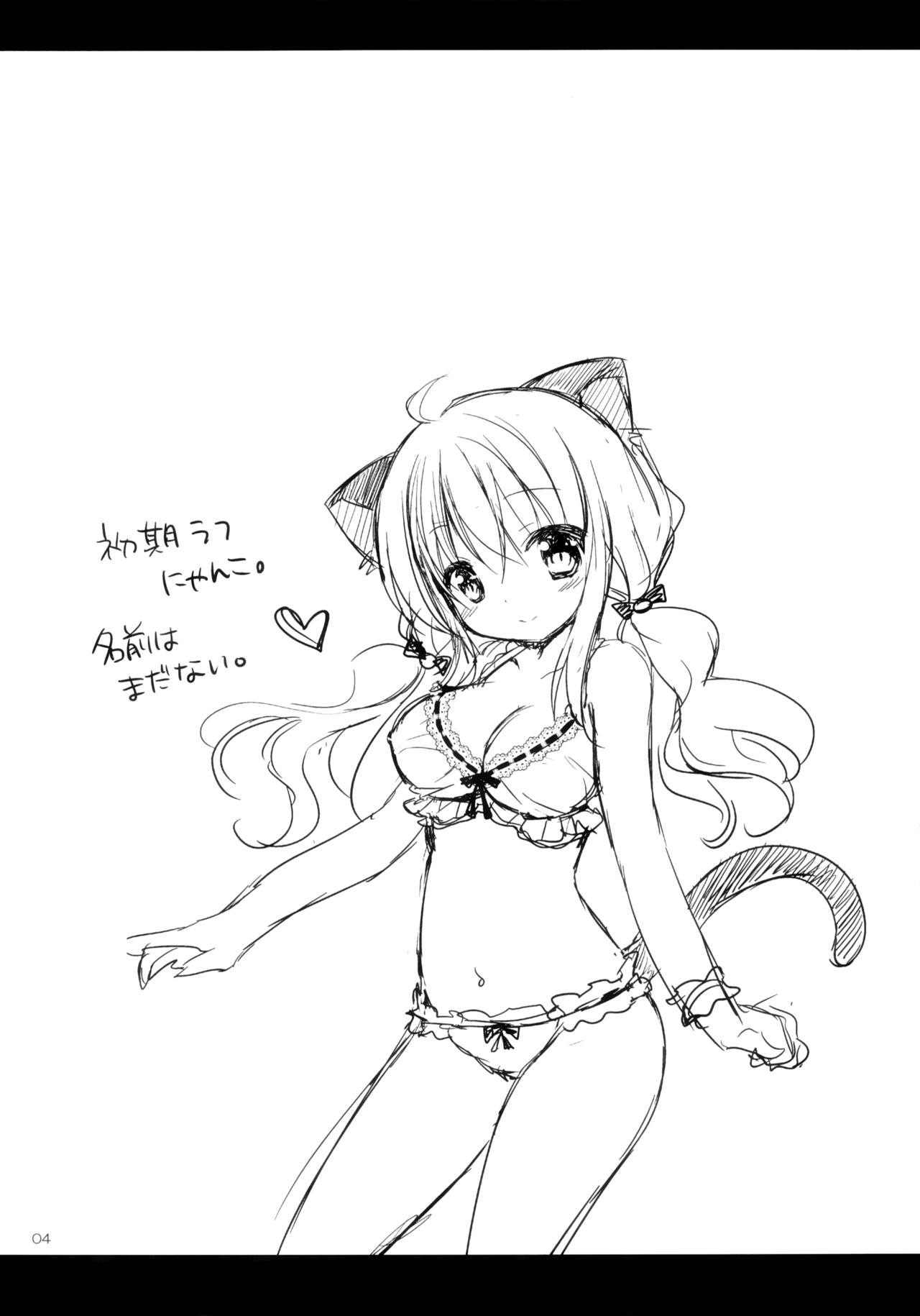 Nyanko o Tasuketara Yome ga Kita Ken ni Tsuite page 3 full