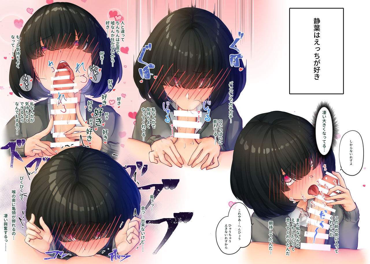 SK-H ZIP page 2 full