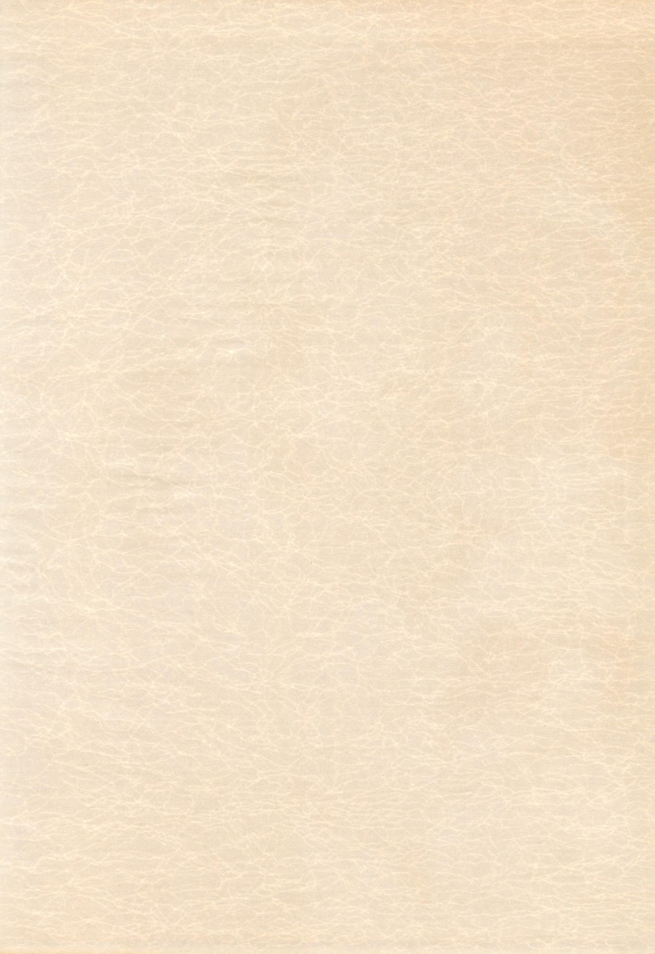 BABELCAPTOR page 4 full