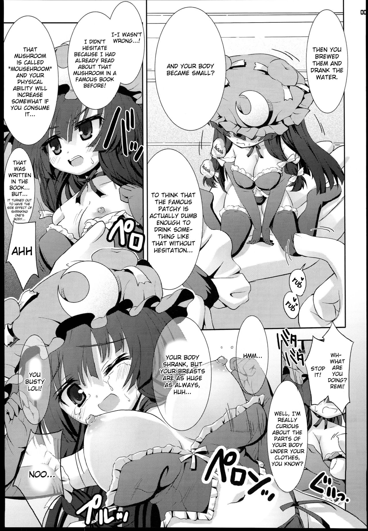 Chicchai Patchouli wa Suki desu ka...? | Do You Like Tiny Patchouli? page 4 full