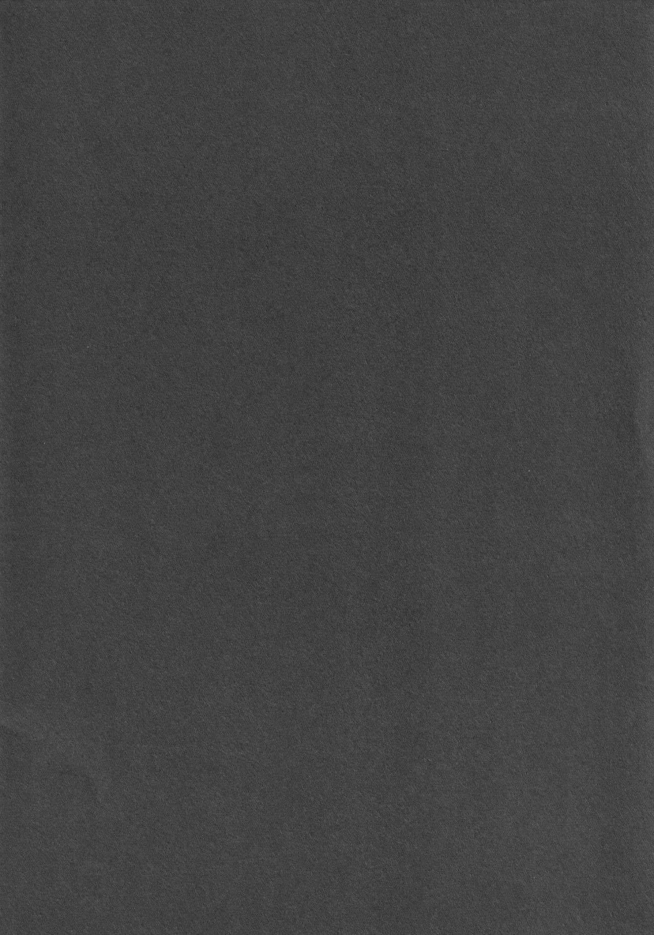 IRIOMOTE  Dai Juugo Kai Reitaisai Kaijou Genteibon page 2 full