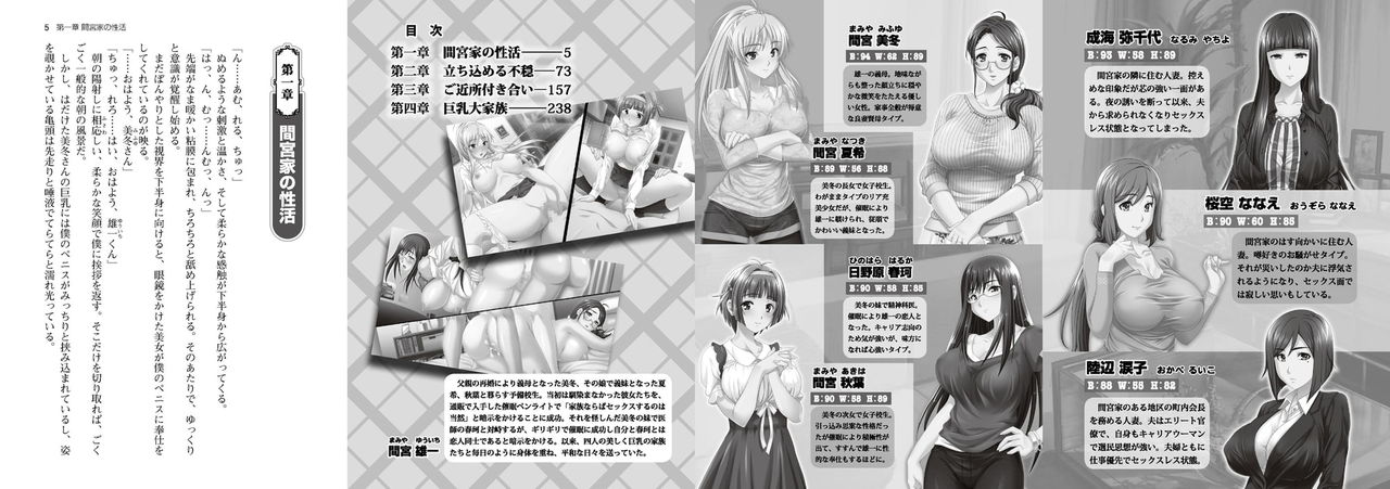 Kyonyuu Daikazoku Saimin - Light Novel【PV】 page 3 full