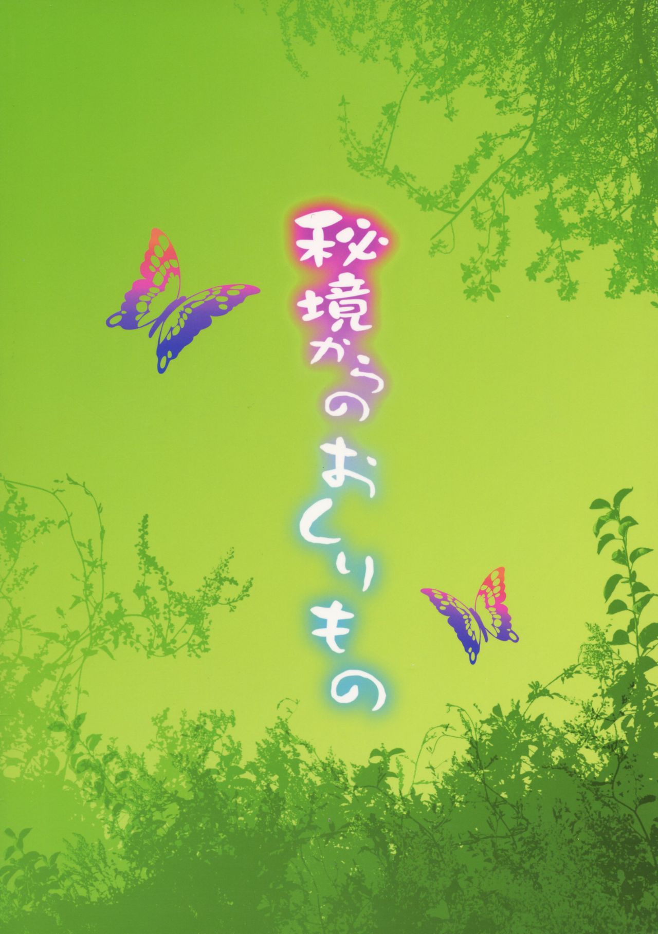 Hikyou kara no Okurimono | Delivered From An Unexplored Region page 2 full