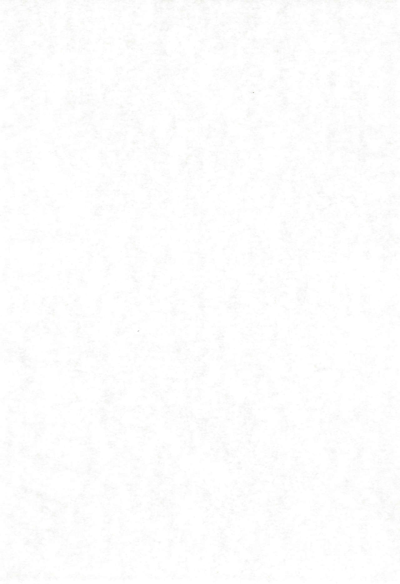 COTTON TIME.2 page 4 full