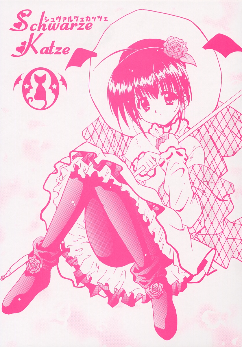 Schwarze Katze page 1 full