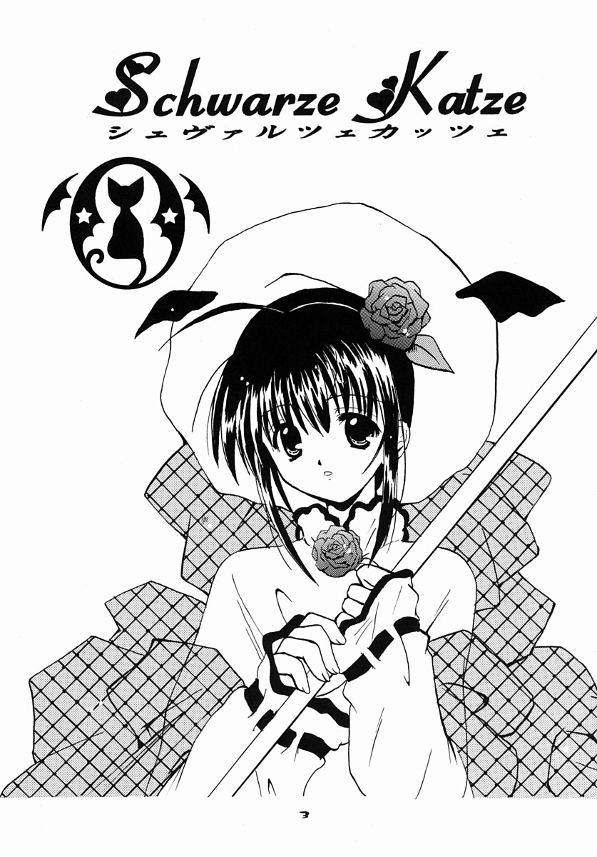 Schwarze Katze page 2 full
