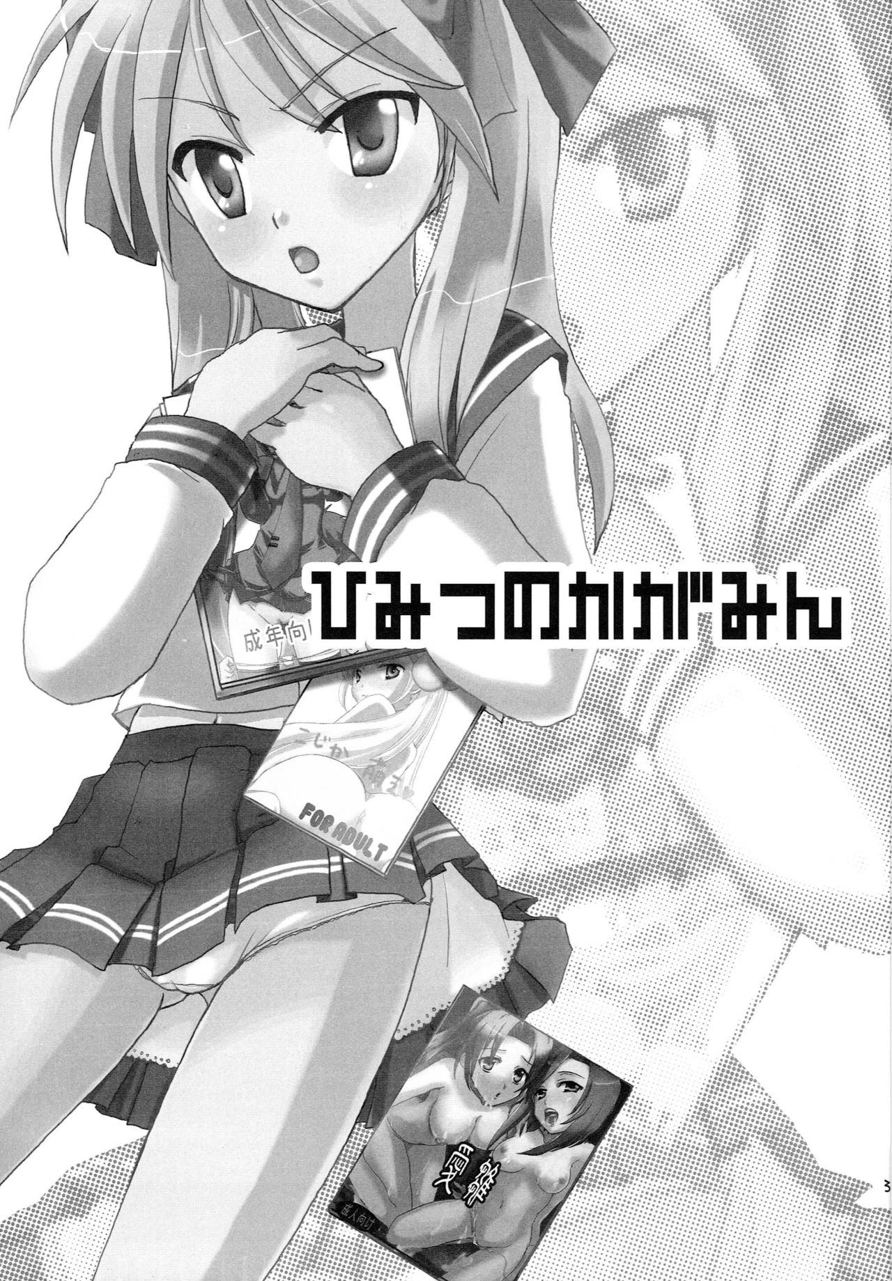 Himitsu no Kagamin page 3 full