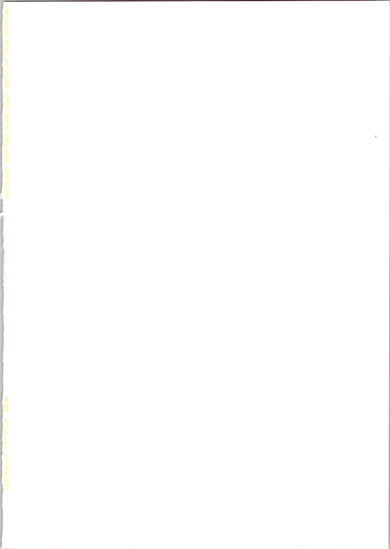 IRIE FILE RED page 2 full