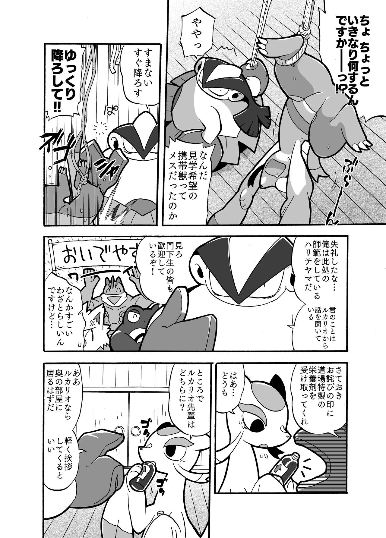 Mienshao & Lucario page 2 full