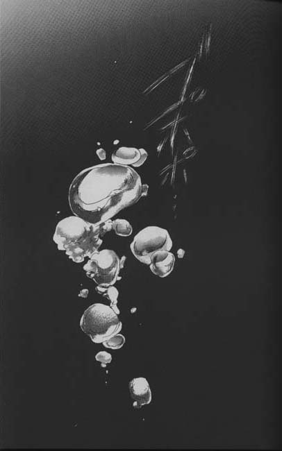 GET LOST page 4 full