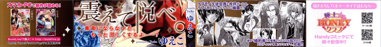 Seitokai no Tokken! page 3 full