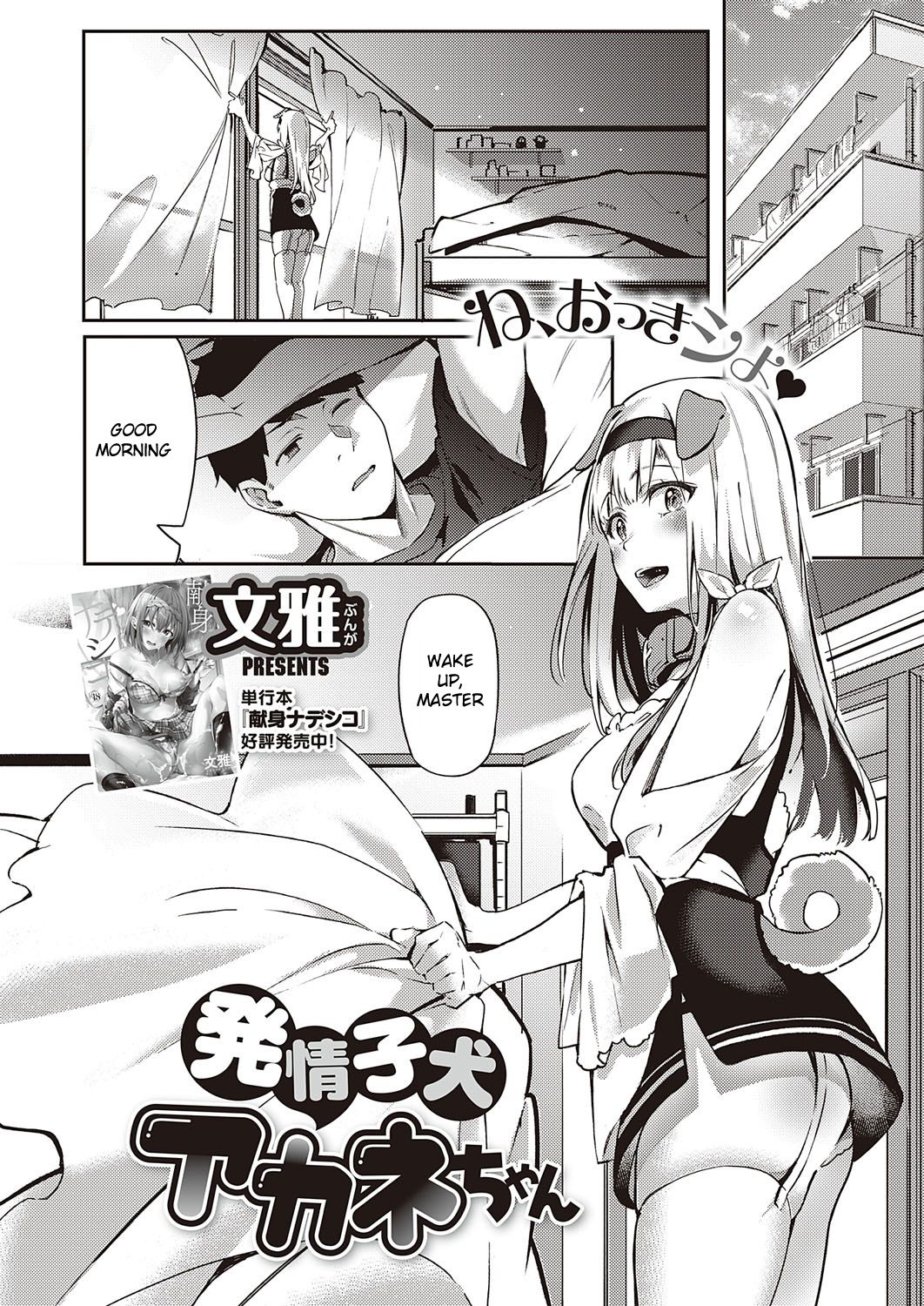 Hatsujou Koinu Akane-chan page 3 full