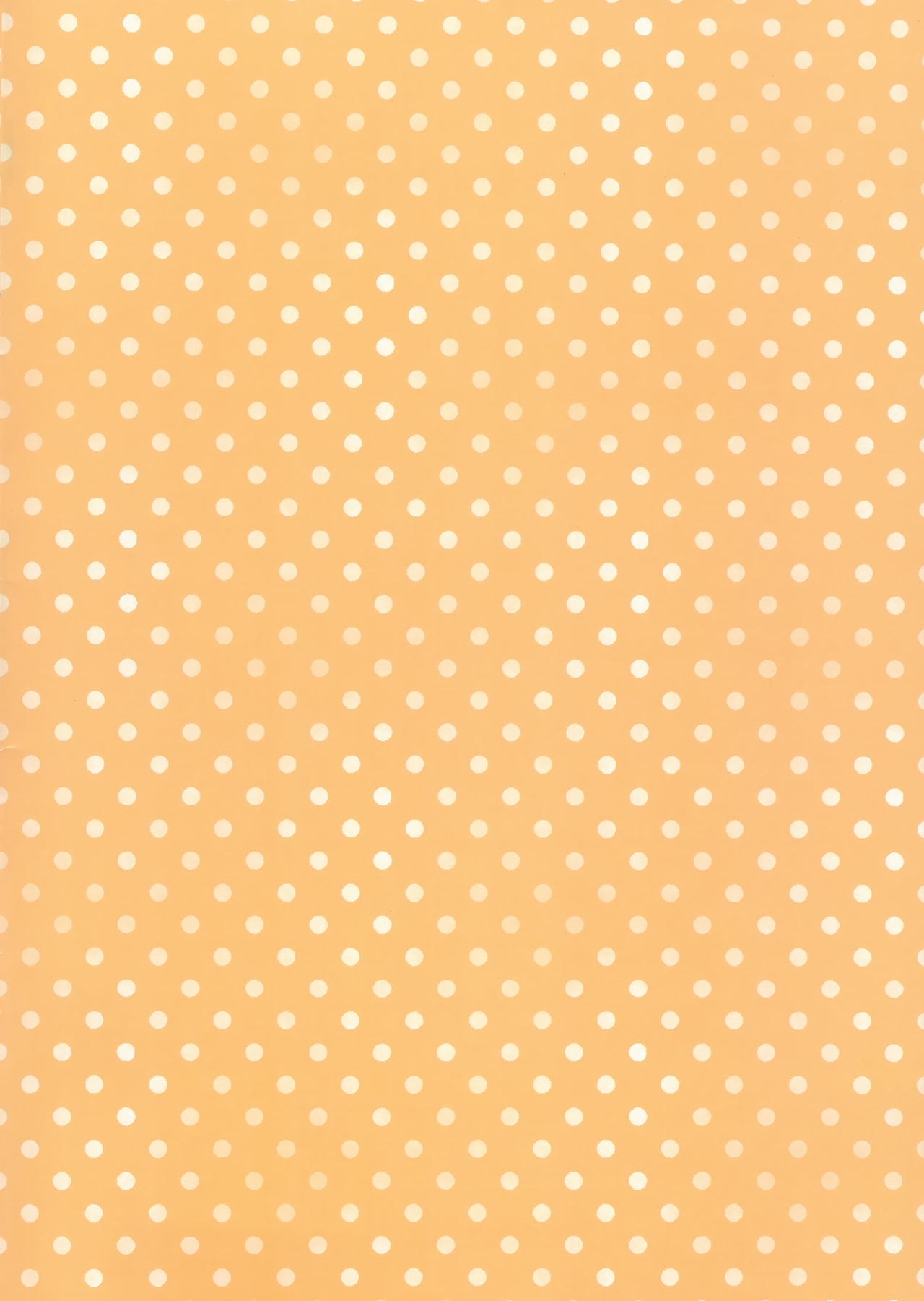 Imouto to Hajimemashita page 2 full