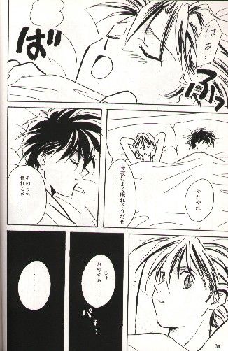 SNOW GARDEN page 27 full