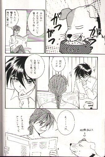 SNOW GARDEN page 5 full