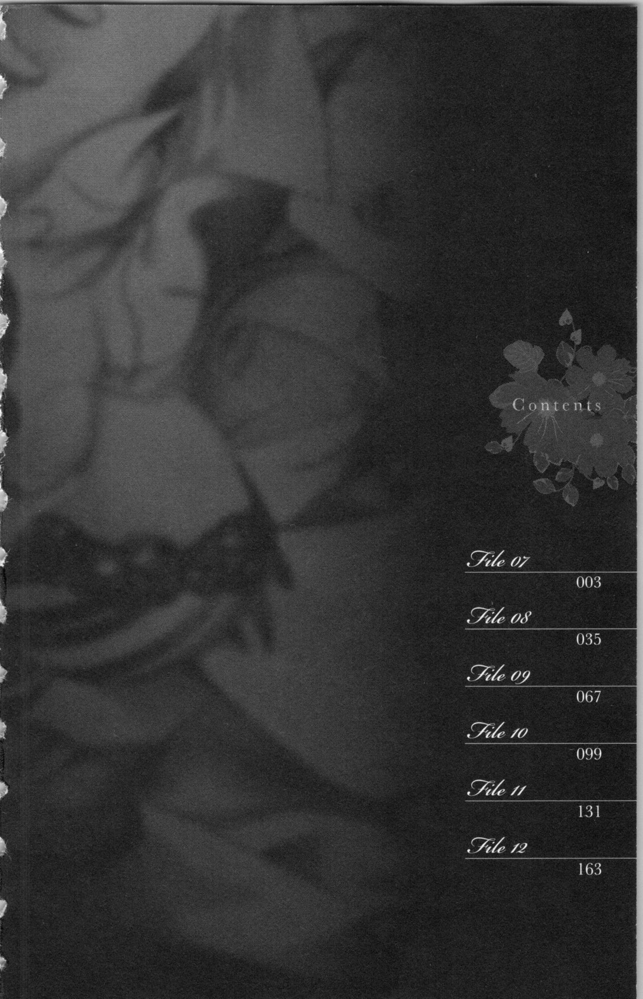 Hishoka Pet no Sodatekata 2 page 4 full